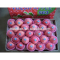 Sell Shandong Fresh Fuji Apples